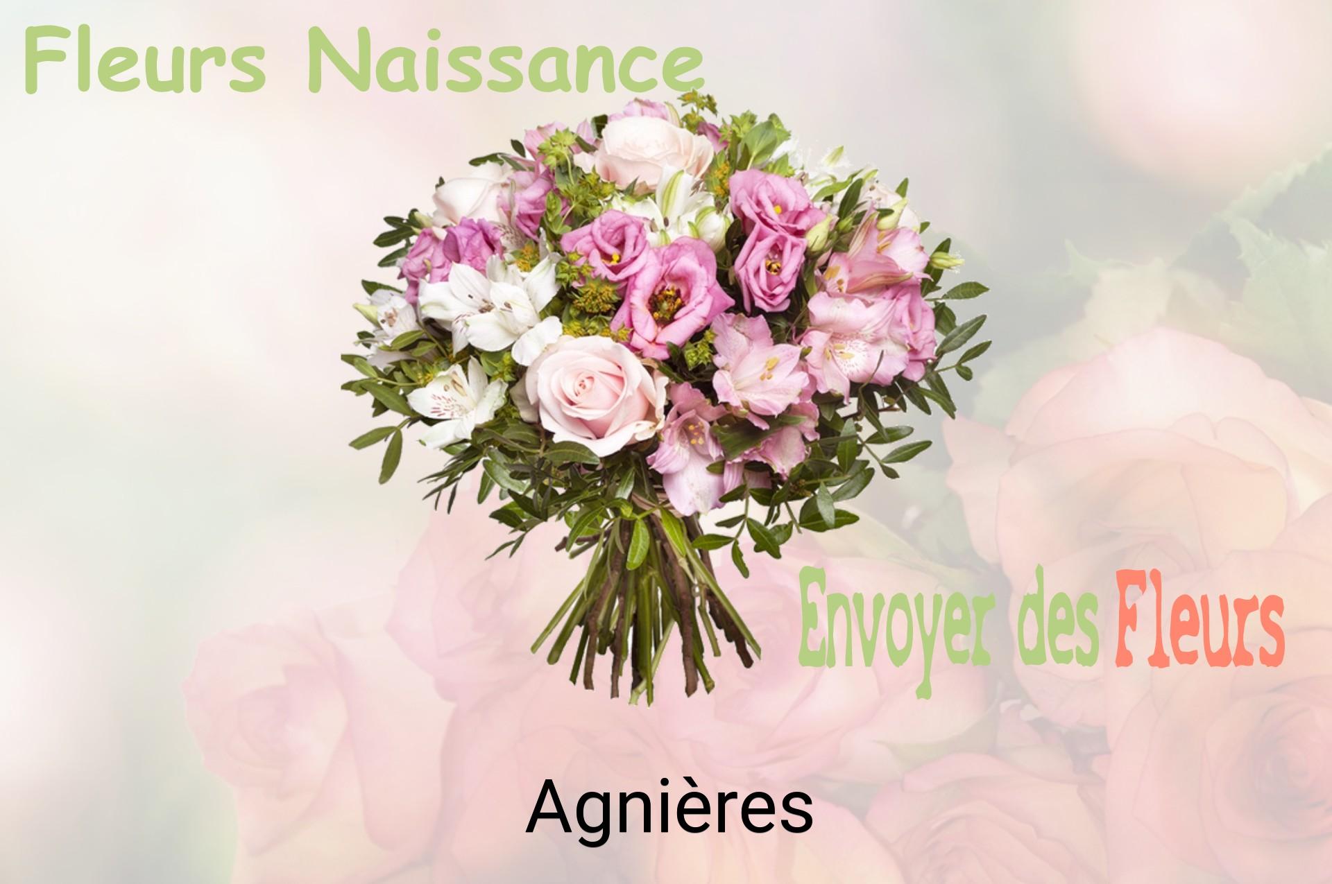 Bouquet de fleurs de naissance livré à Agnières